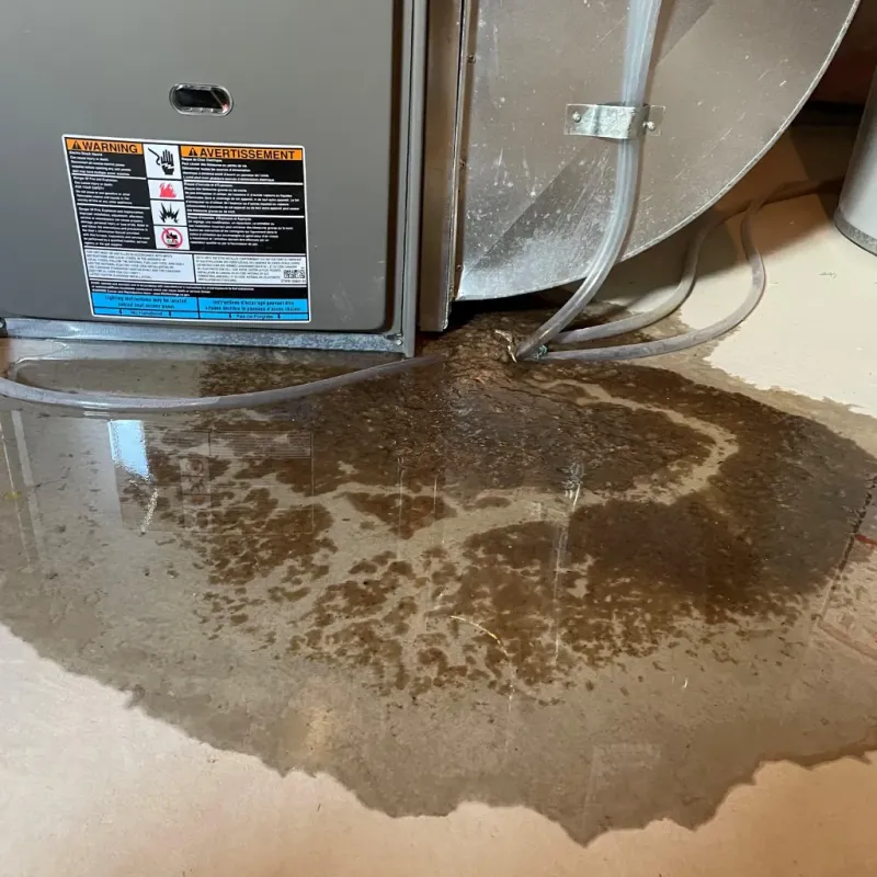 Appliance Leak Cleanup in Bastrop, TX