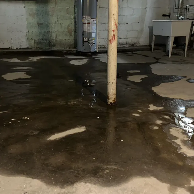 Emergency Water Extraction And Removal in Bastrop, TX